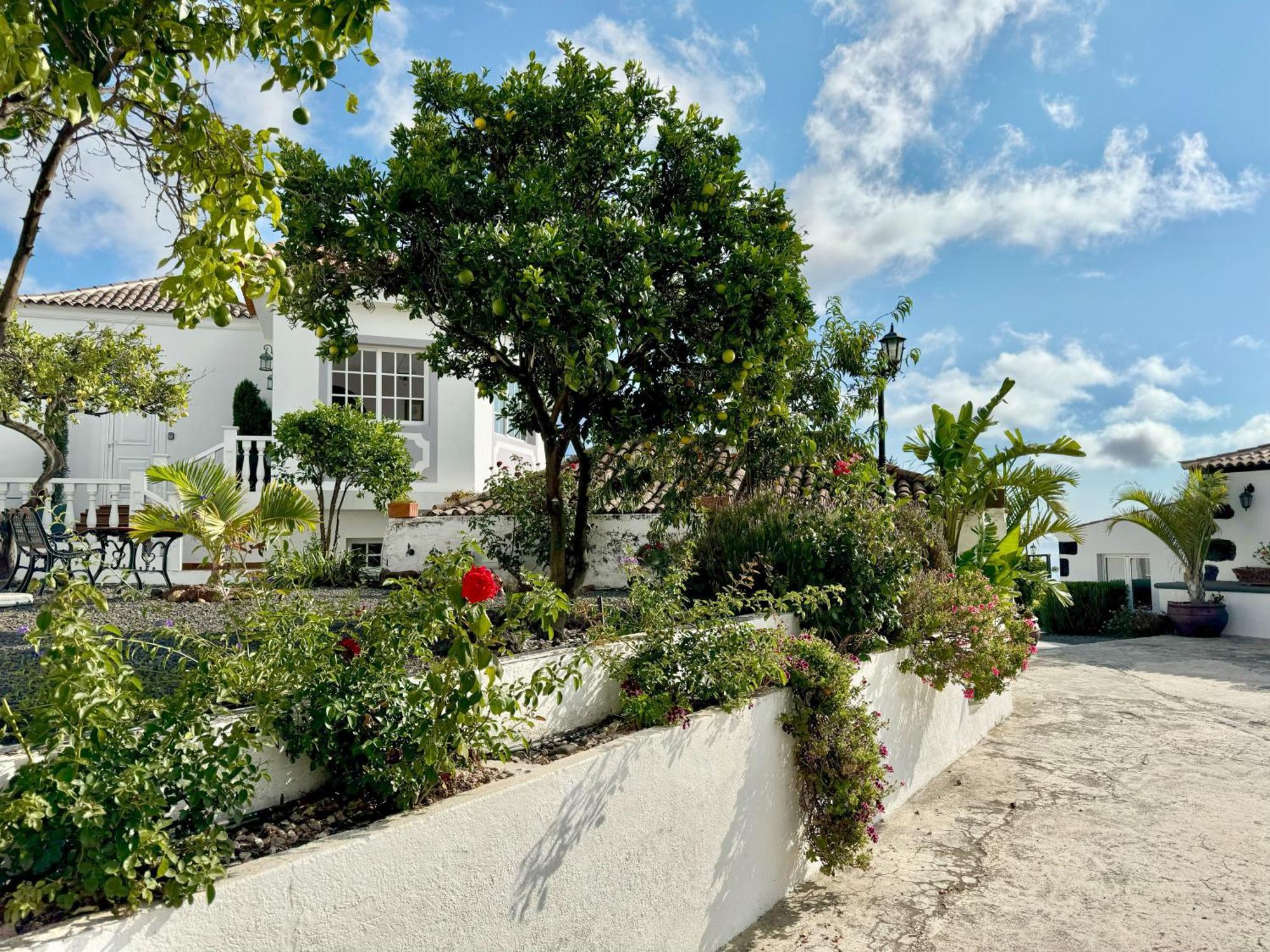 Casa Vista Mar 1 Los Laureles エル・パソ エクステリア 写真